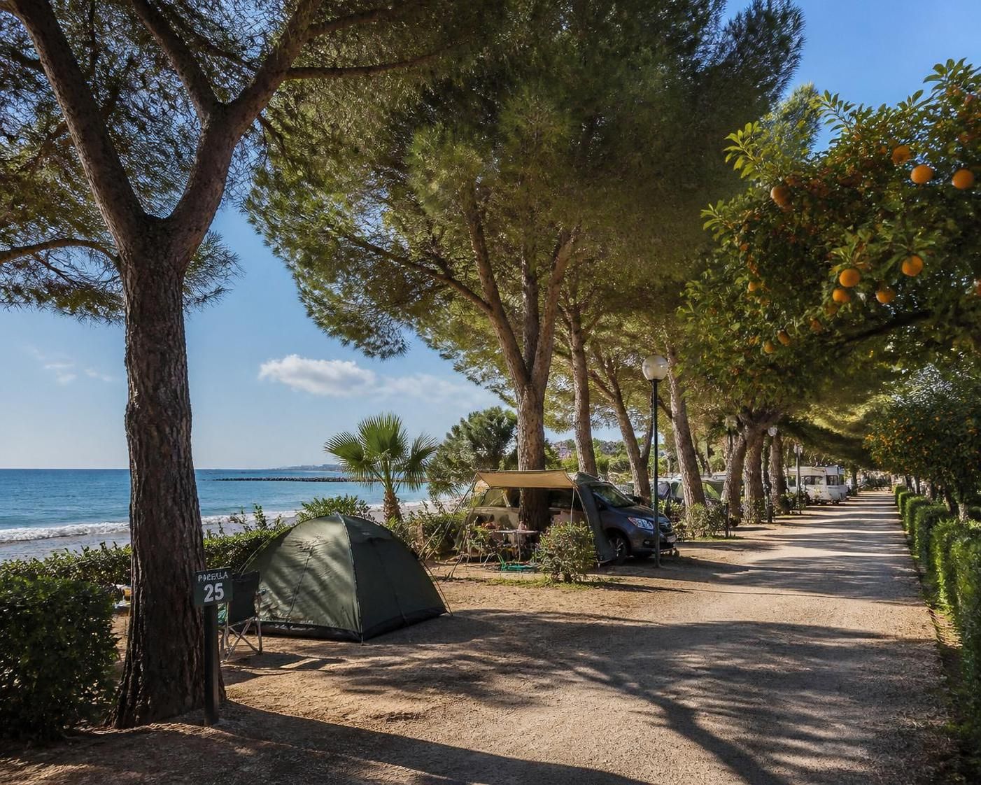 découvrez les meilleurs emplacements de camping à valencia pour un séjour nature inoubliable. profitez d'un cadre naturel exceptionnel pour des vacances réussies en plein air.
