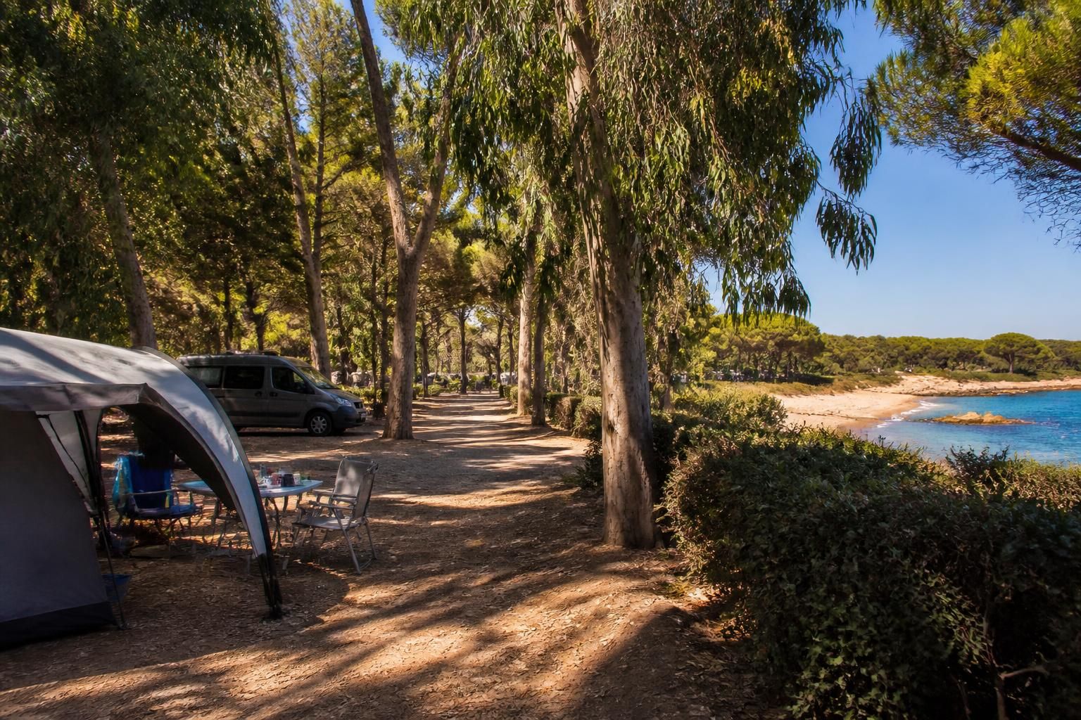 découvrez le camping les eucalyptus, un véritable havre de nature idéal pour des vacances en famille. profitez d'un cadre paisible, d'activités variées et d'un environnement naturel préservé pour vous ressourcer pleinement.