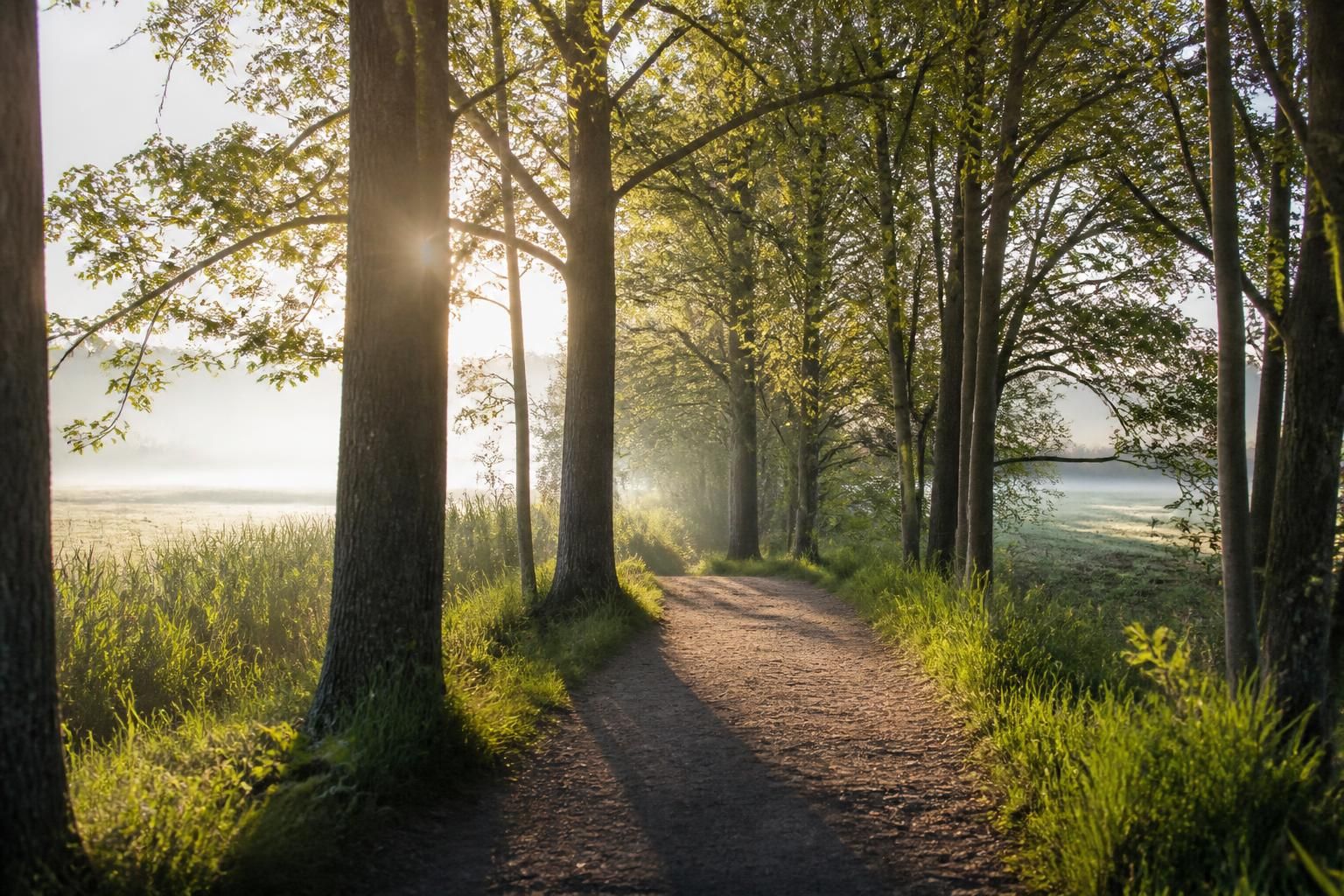 découvrez des activités nature simples et revitalisantes pour retrouver énergie et bien-être lorsque le moral est en berne. ressourcez-vous grâce à la nature et améliorez votre humeur naturellement.